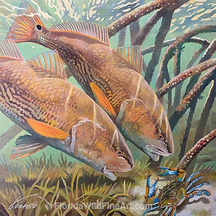 Florida Wildlife Fine Art Redfish