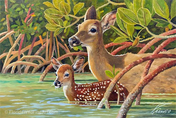 Florida Wildlife Fine Art Key Deer