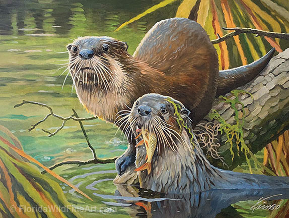 Florida Wildlife Fine Art Otters