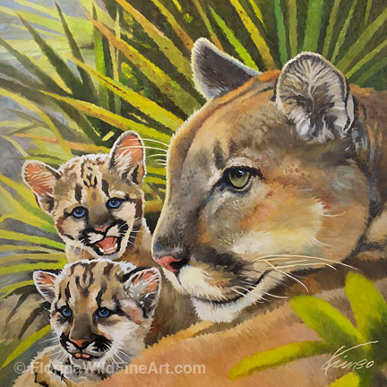 Florida Wildlife Fine Art Panther