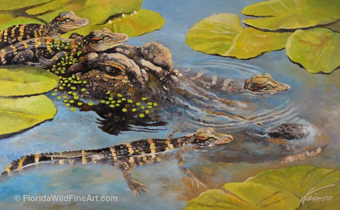 Florida Wildlife Fine Art Alligator Babies