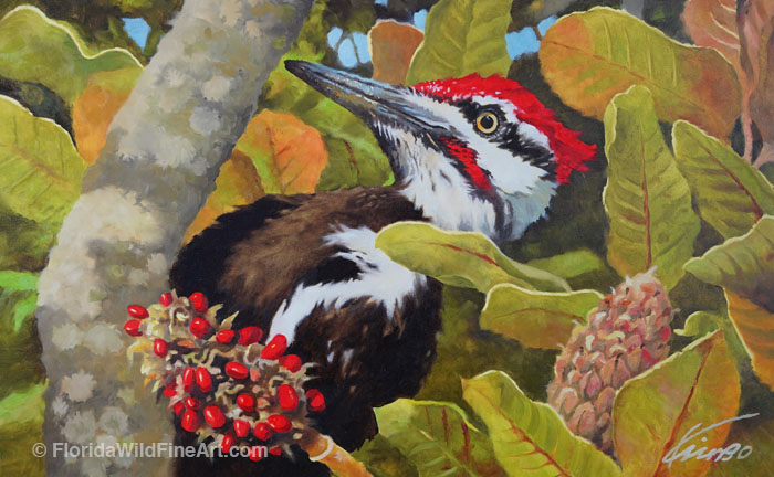 Florida Wildlife Fine Art Woodpecker