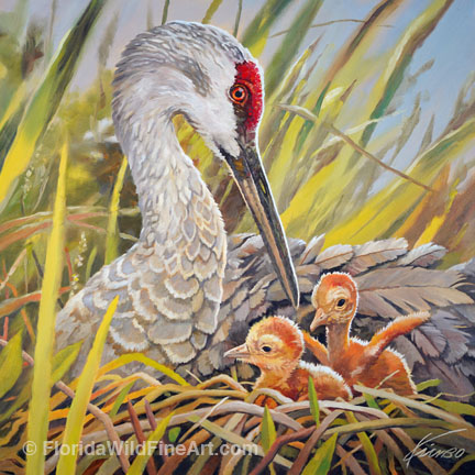 Florida Wildlife Fine Art Sandhill Crane Nest