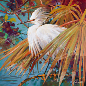 Snowy Egret In Palm - Snowy Egret Art by Kim B. Parrish