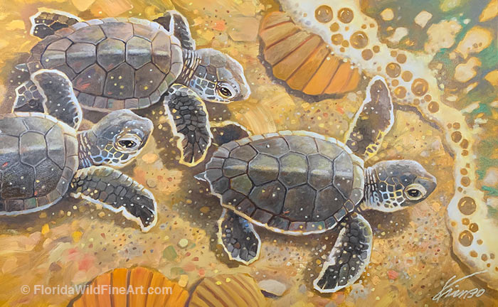 Sea Turtle Fine Art by Kim B. Parrish