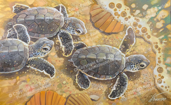 Baby Sea Turtle Art, Hatchling Sea Turtle Painting, Copyright Kim B. Parrish