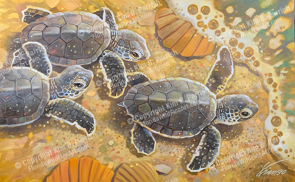 Sea Turtle Fine Art by Kim B. Parrish