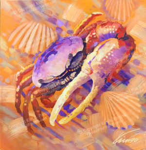 Fiddler Crab Painting, Fiddler Crab Artwork Copyright Kim B. Parrish