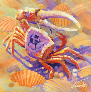 Fiddler Crab Art, Fiddler Crab Painting, Fiddler Crab Collectible Art Copyright Kim B. Parrish