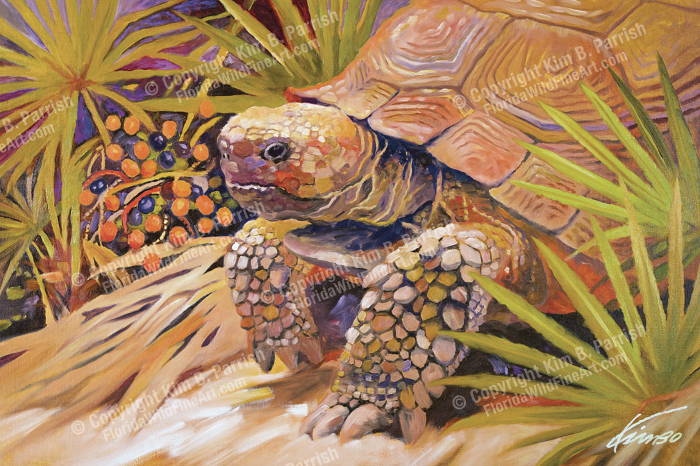 Florida Gopher Tortoise Art Gopher Tortoise Painting Copyright Kim B. Parrish