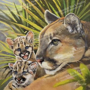 Florida Panther art florida panther painting