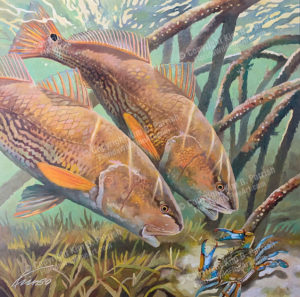 Redfish Painting - redfish art by Kim B. Parrish