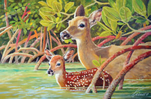 Florida Key Deer Art, Keey Deer Painting Copyright Kim B. Parrish