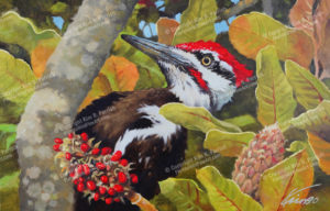 Pileated Woodpecker Painting | Pileated Woodpecker Art by Kim B. Parrish