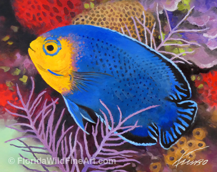 Tropical Angelfish Art Copyright Kim B. Parrish