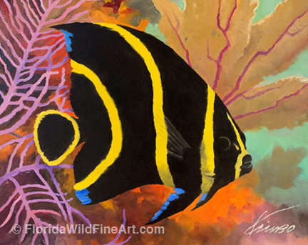 French Angelfish Art Copyright Kim B. Parrish