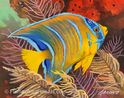 Queen Angelfish Art Copyright Kim B. Parrish