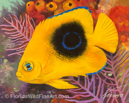 Rock Beauty Angelfish Art Copyright Kim B. Parrish