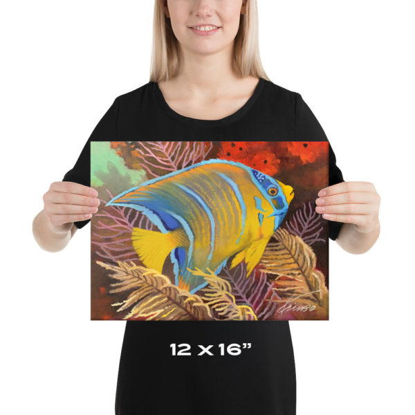Queen Angelfish Art Copyright Kim B. Parrish